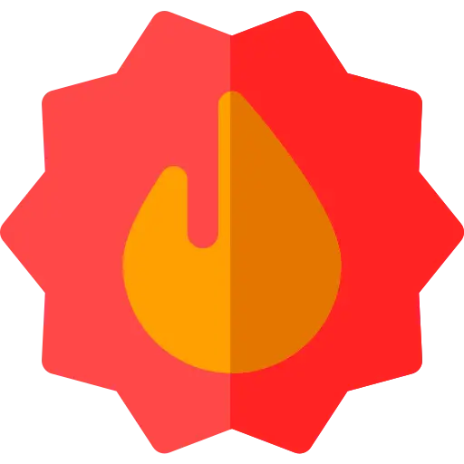 Enterprise Web Development