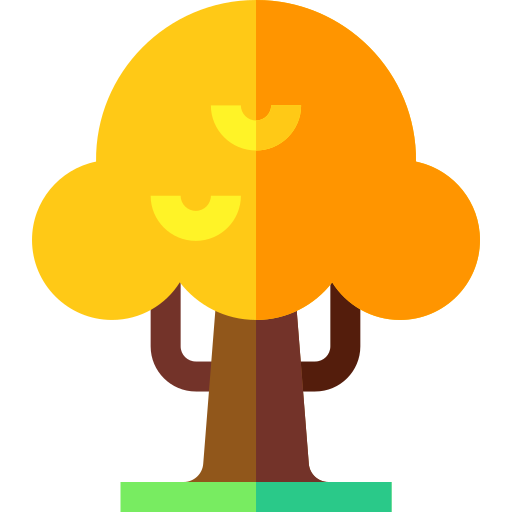 Enterprise Web Development