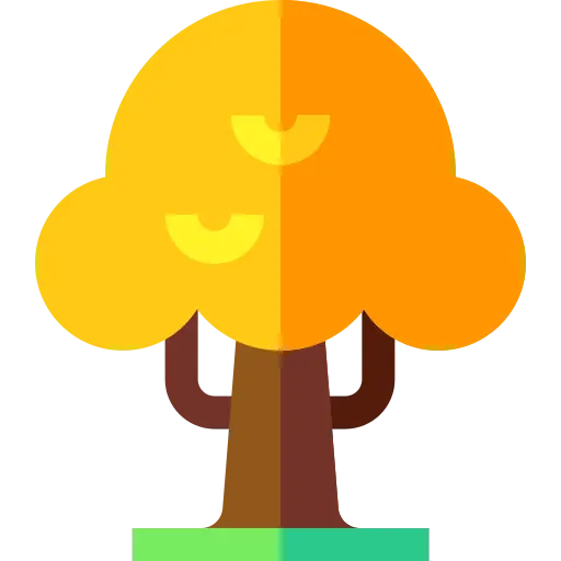 Enterprise Web Development